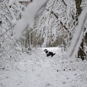 Saint-Nazaire-de-Valentane 24/01/2013