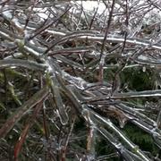 Sommesous 21/01/2013