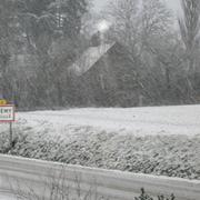 Saint-Rémy-de-Sillé 21/01/2013