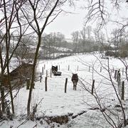 Bellou-sur-Huisne 21/01/2013