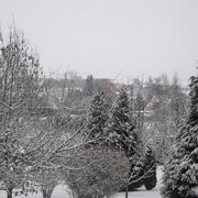 Schwerdorff 21/01/2013