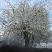 Matton-et-Clémency 22/01/2013