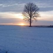 Champfrémont 29/01/2013