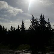 Oued Zenati 05/02/2013