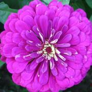 Avant-lès-Marcilly 20/08/2009