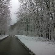 Saint-Benin-des-Bois 07/02/2013