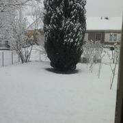 Arc-et-Senans 08/02/2013