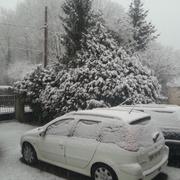 Saint-Amand-en-Puisaye 09/02/2013