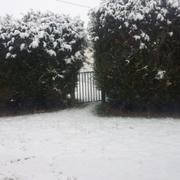 Époisses 09/02/2013