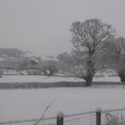 Préporché 12/02/2013