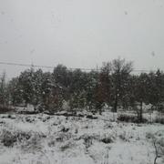 Roumoules 11/02/2013