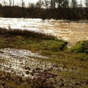 Cazères-sur-l'Adour 12/02/2013