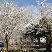 Livinhac-le-Haut 14/02/2013