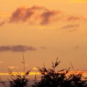 Noyant-d'Allier 21/08/2009