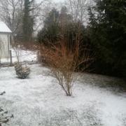 Saint-Amand-en-Puisaye 25/02/2013