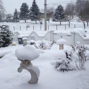 Liebsdorf 24/02/2013