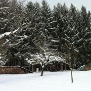 Courtavon 25/02/2013