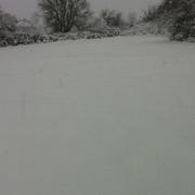 Sénaillac-Lauzès 25/02/2013