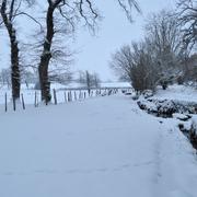 Saint-Sornin-Leulac 25/02/2013