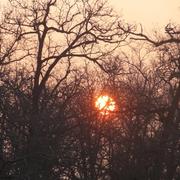 Sauvimont 27/02/2013