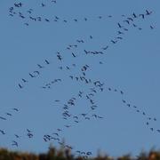 Brigueuil 01/03/2013