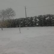 Normandel 14/03/2013