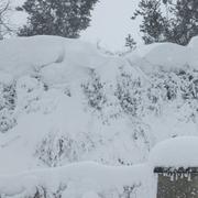 Couvains 12/03/2013