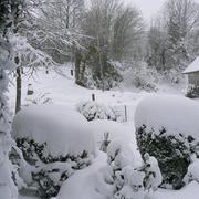 Lozon 12/03/2013