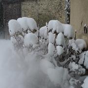 Vingt-Hanaps 14/03/2013