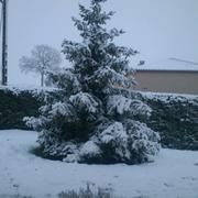 Lamontjoie 13/03/2013