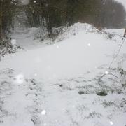 Botsorhel 13/03/2013