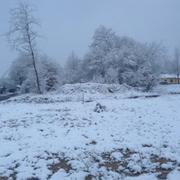 Le Vignau 13/03/2013