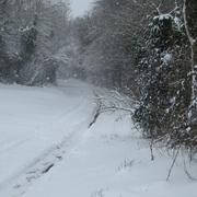 Le Bû-sur-Rouvres 13/03/2013