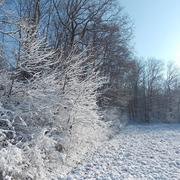 Cerneux 14/03/2013