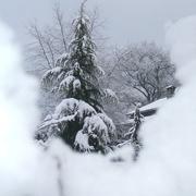 Labouheyre 14/03/2013