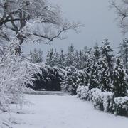 Labouheyre 14/03/2013