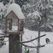 Senonches 14/03/2013