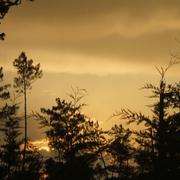 Labouheyre 14/03/2013