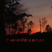 Labouheyre 14/03/2013