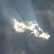 Labouheyre 14/03/2013