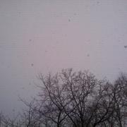 Montbard 14/03/2013