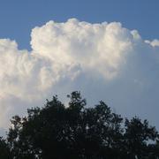 Labouheyre 16/03/2013