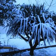 Guenrouet 18/03/2013