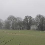 Le Caylar 18/03/2013