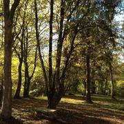 Sainpuits 02/04/2013