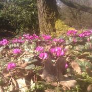 Sainpuits 30/03/2013