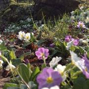 Sainpuits 02/04/2013