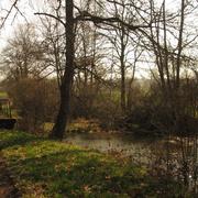 Saint-Benin-des-Bois 02/04/2013