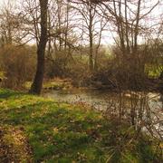 Saint-Benin-des-Bois 02/04/2013