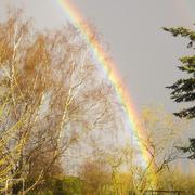 Quelaines-Saint-Gault 10/04/2013